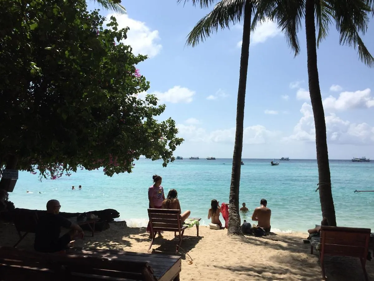 ****  Big Fish Resort Koh Tao Thaïlande