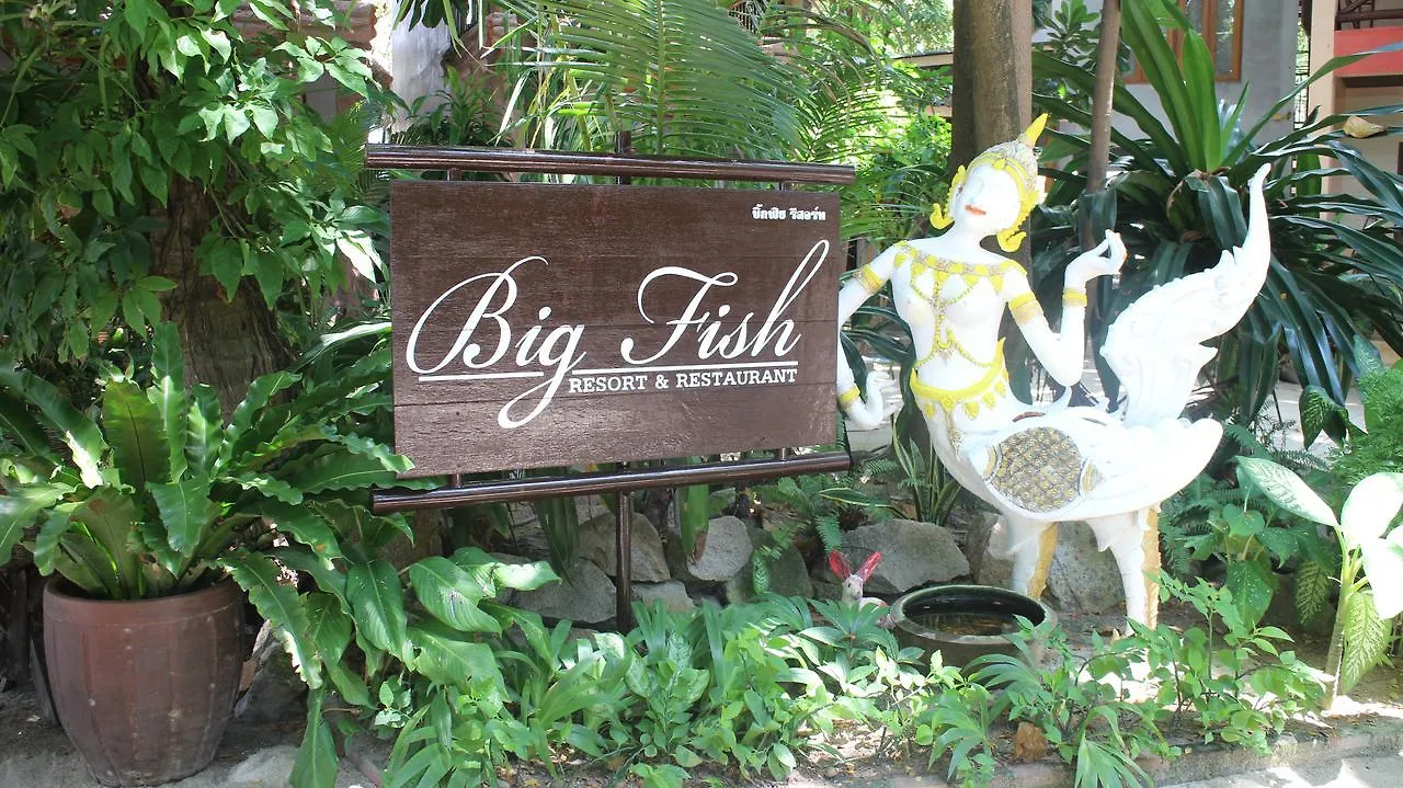 ****  Big Fish Resort Ko Tao Tailandia