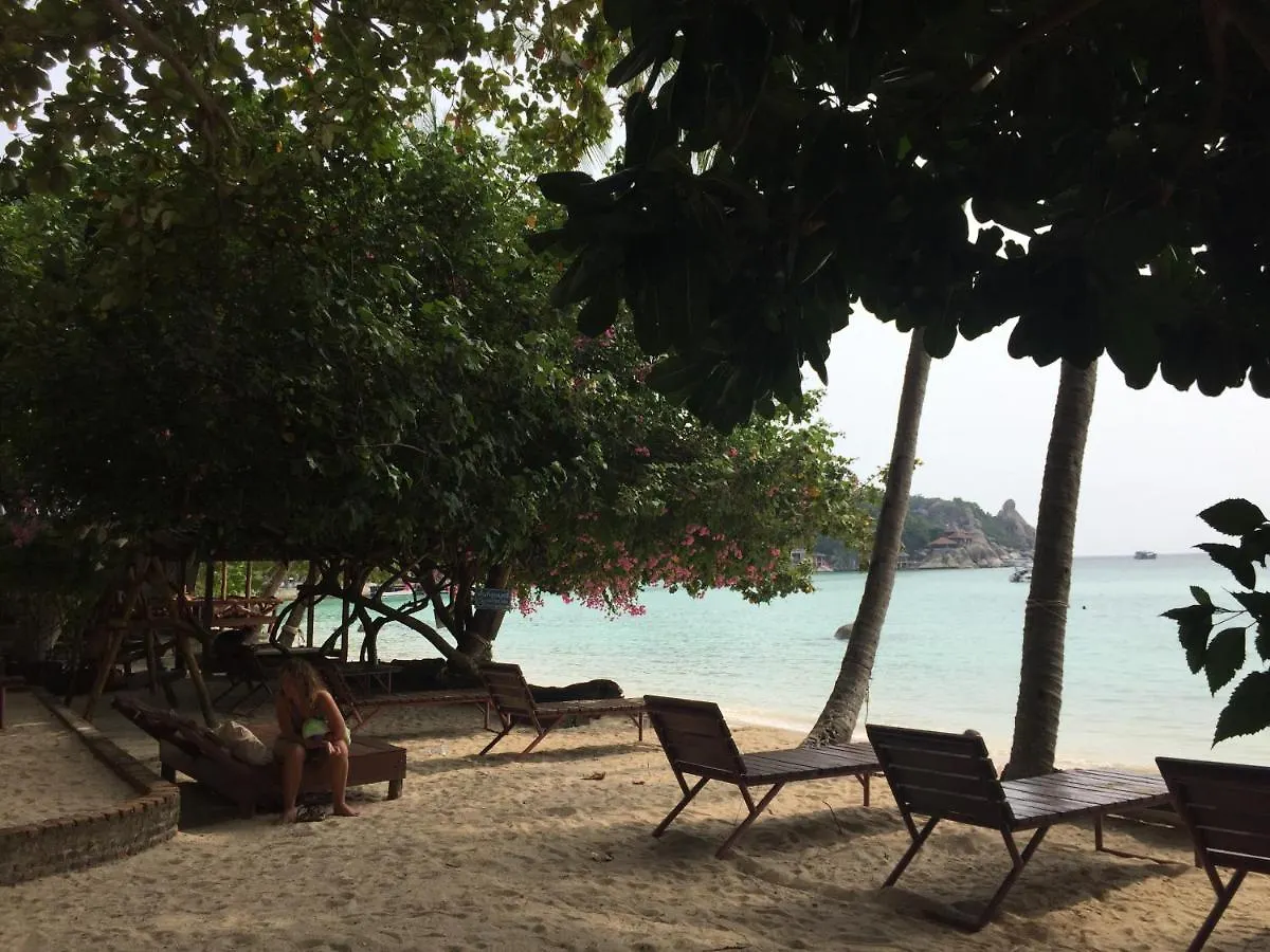 Big Fish Resort Ko Tao 4*,